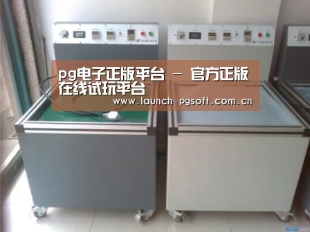 PG Soft案例展示二(图1)