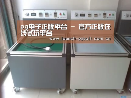 PG Soft案例展示二