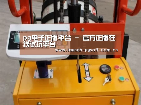 PG Soft案例展示三