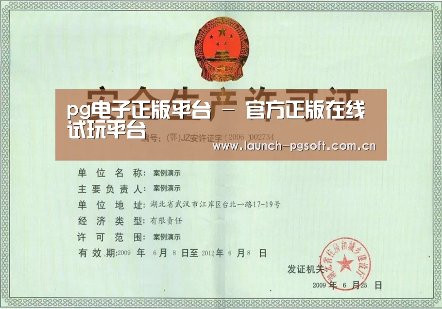 PG Soft荣誉证书三(图1)