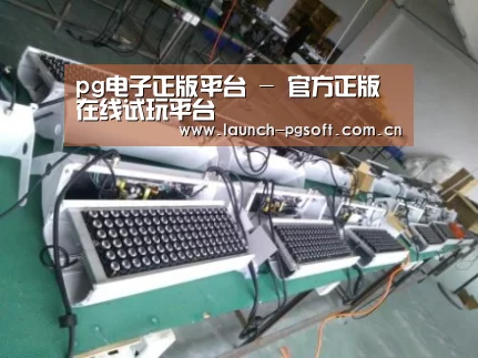 PG Soft案例展示一