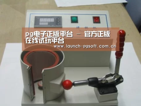 PG Soft案例展示六
