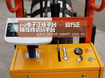 PG Soft案例展示三(图1)