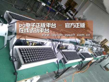 PG Soft案例展示一(图1)