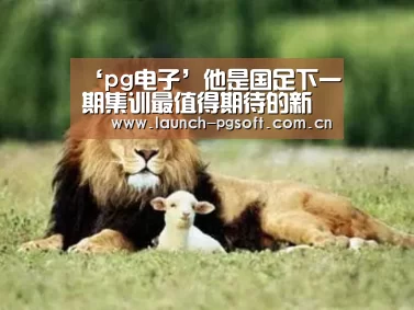 ‘pg电子’他是国足下一期集训最值得期待的新人!能力不俗曾斩获中超金靴(图2) pg电子官网
