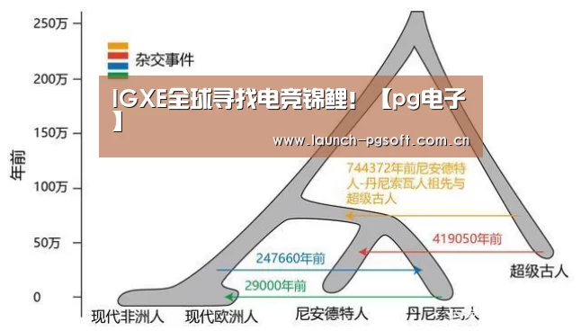 IGXE全球寻找电竞锦鲤!【pg电子】(图1) PG Soft
