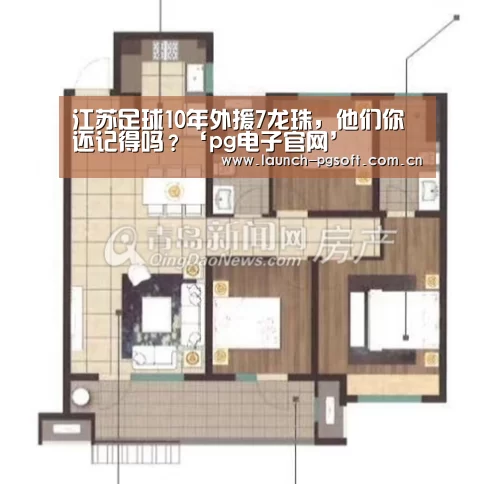江苏足球10年外援7龙珠,他们你还记得吗?‘pg电子官网’(图2) PG Soft
