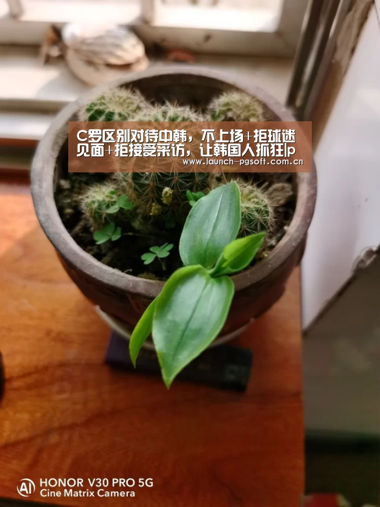 C罗区别对待中韩,不上场+拒球迷见面+拒接受采访,让韩国人抓狂|pg电子官网(图1) PG Soft